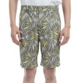 アドミラル ゴルフ Admiral GOLF メンズ メンズ リゾートプリント ショートパンツ ADMA530 詳細1